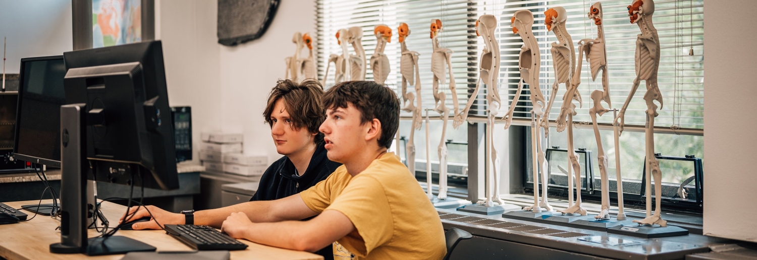 stream students on computer